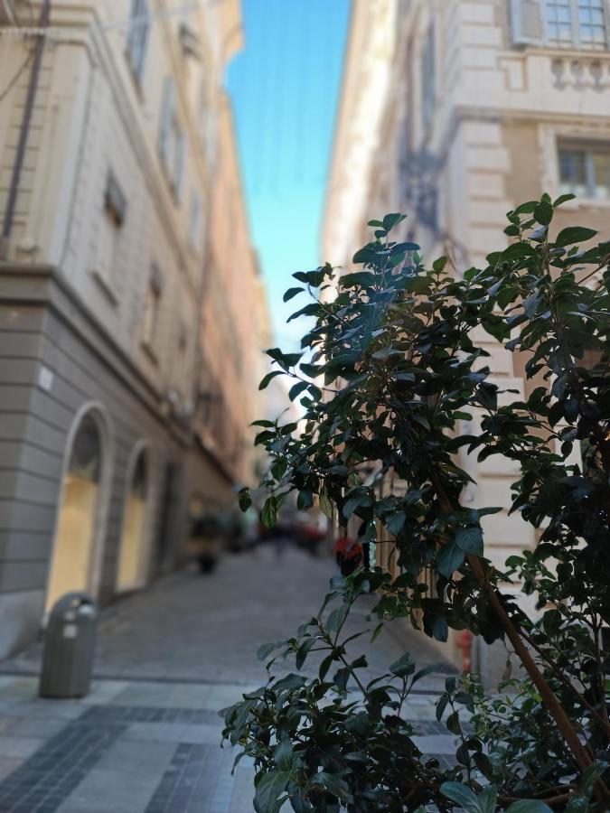 Giulietta Loft * San Remo